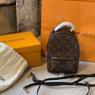Louis Vuitton Mini Backpack