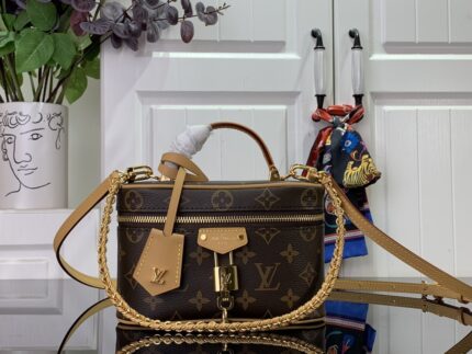 LV Vanity Chain Pouch Bag