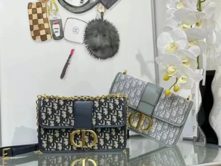 Dior Montaigne Chain Bag With Blue Oblique Jacquard Skin
