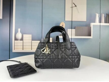 Christian Dior Medium Toujours Bag
