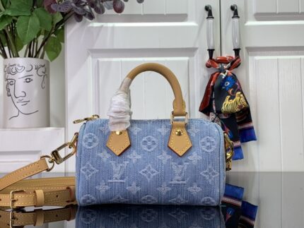 LV Nano Speedy Bag