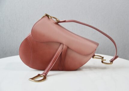 Christian Dior Saddle Gradient Leather Handbag